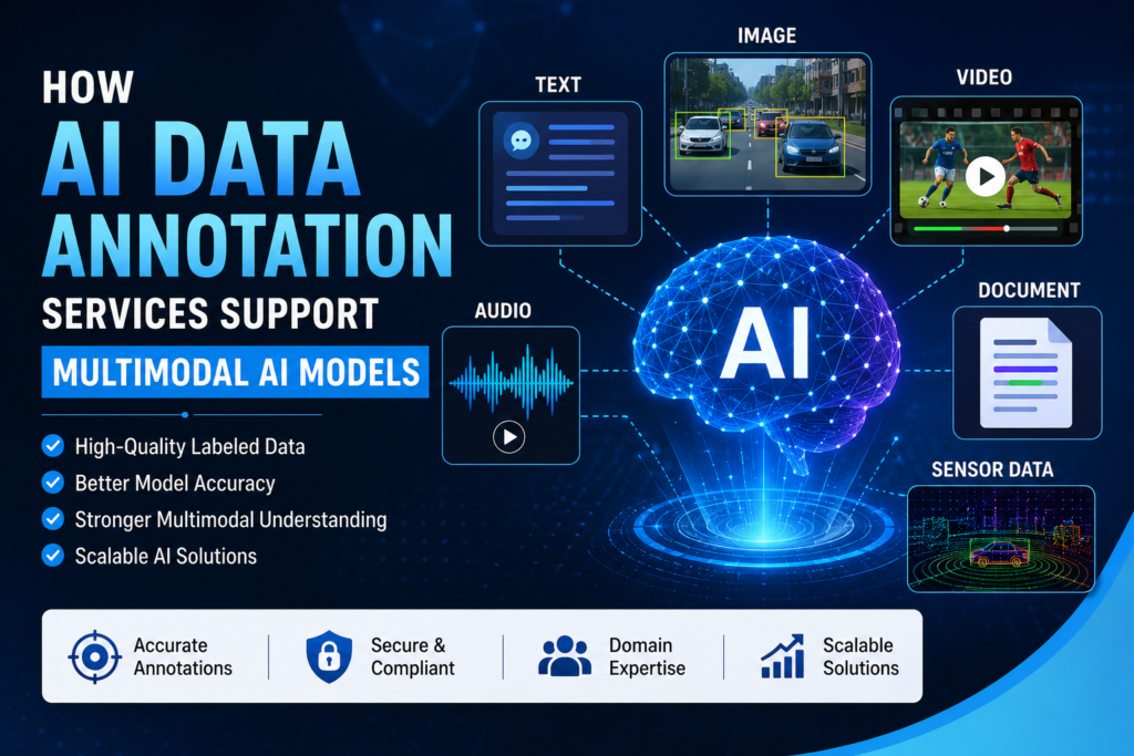 AI Data Annotation
